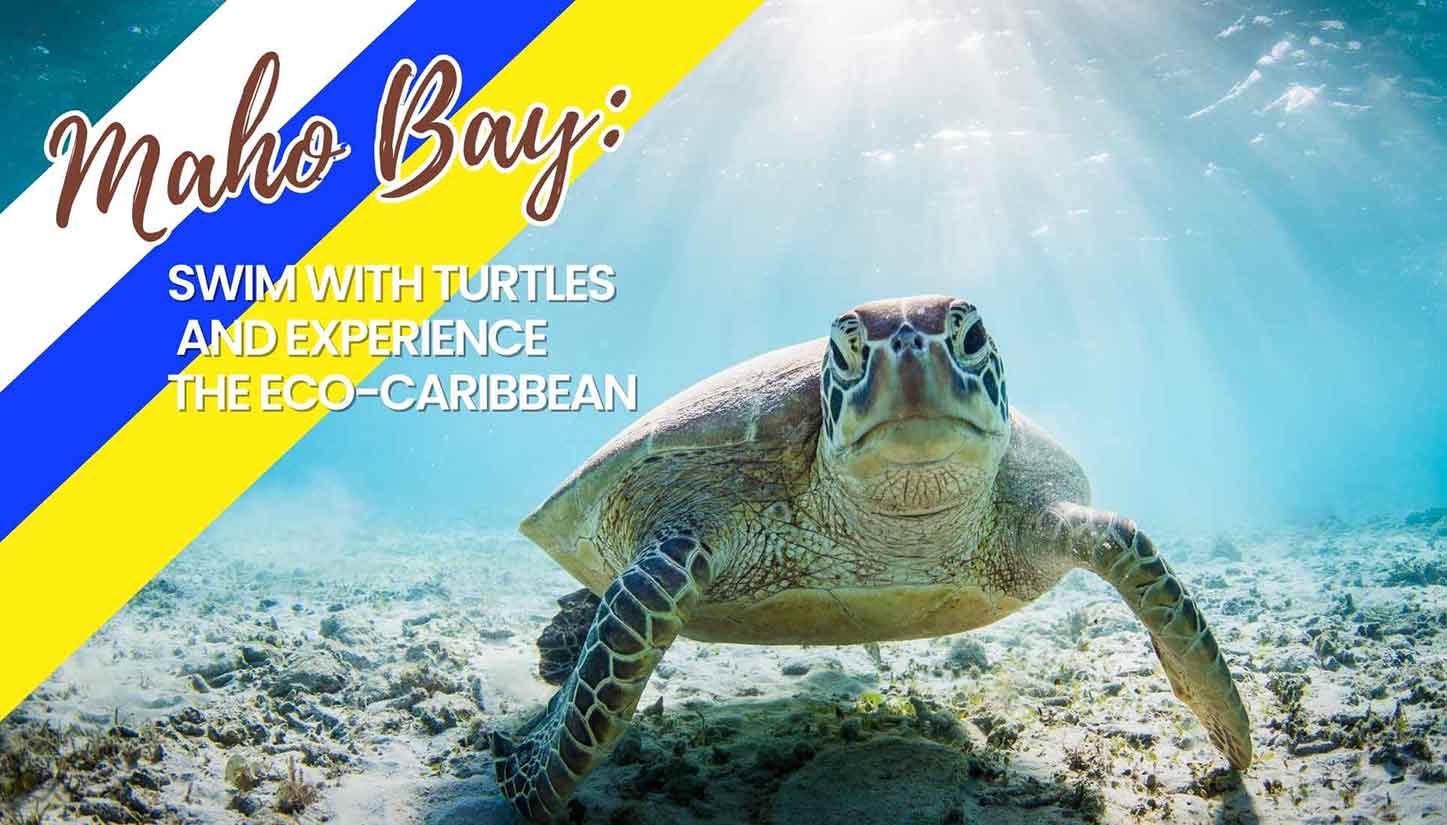 Maho Bay and the Turtles: Eco-Friendly Beach Activities for the Summer