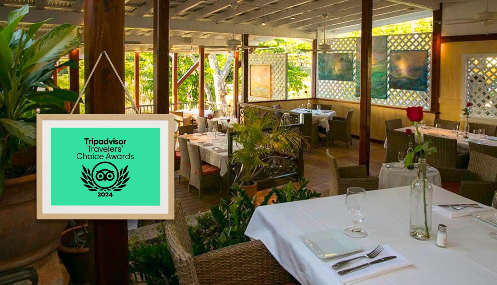 Awards and Top Ranking of Morgan’s Mango on TripAdvisor