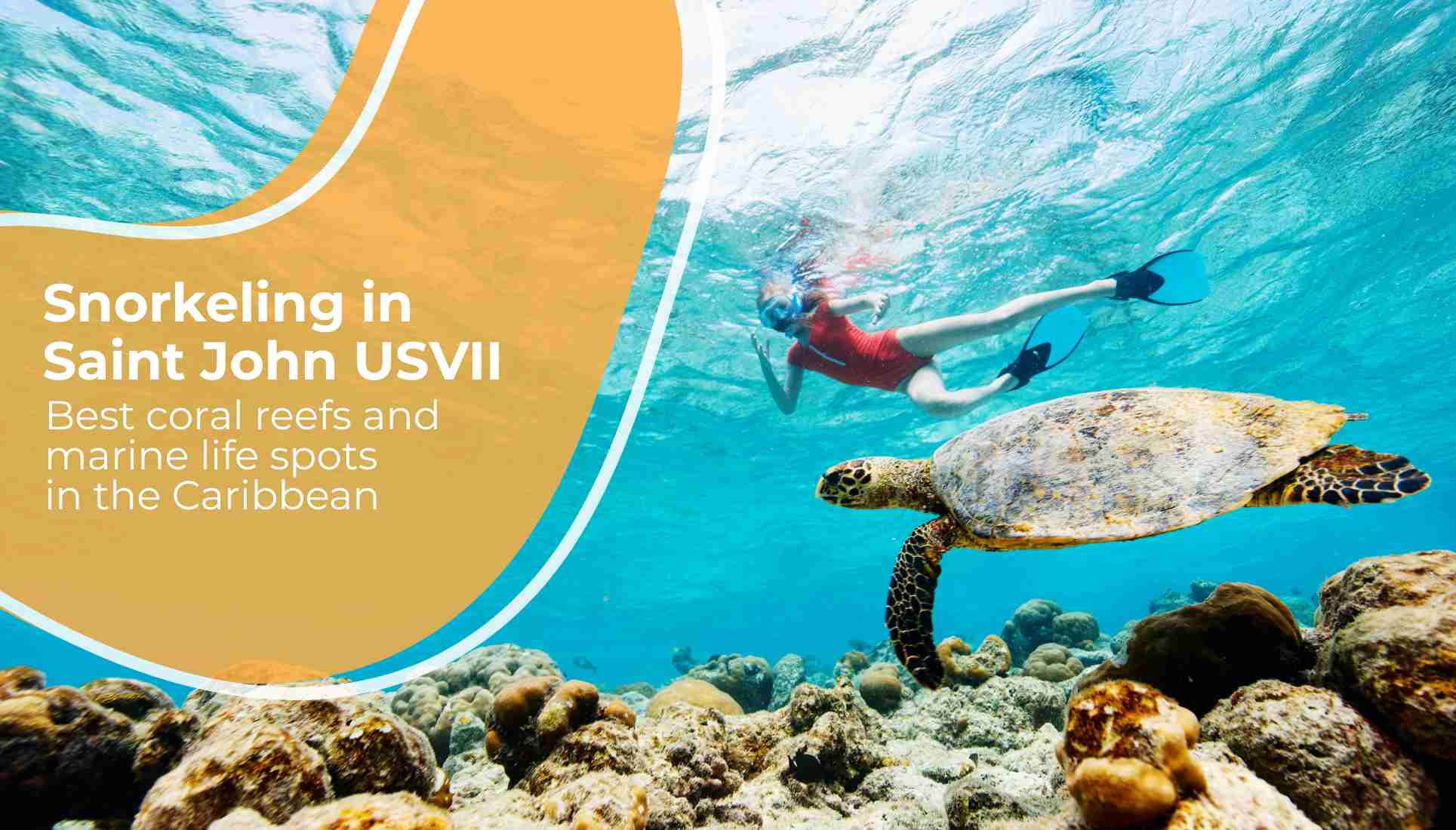 Snorkeling in Saint John USVI: The Best Spots to Explore the Caribbean Sea